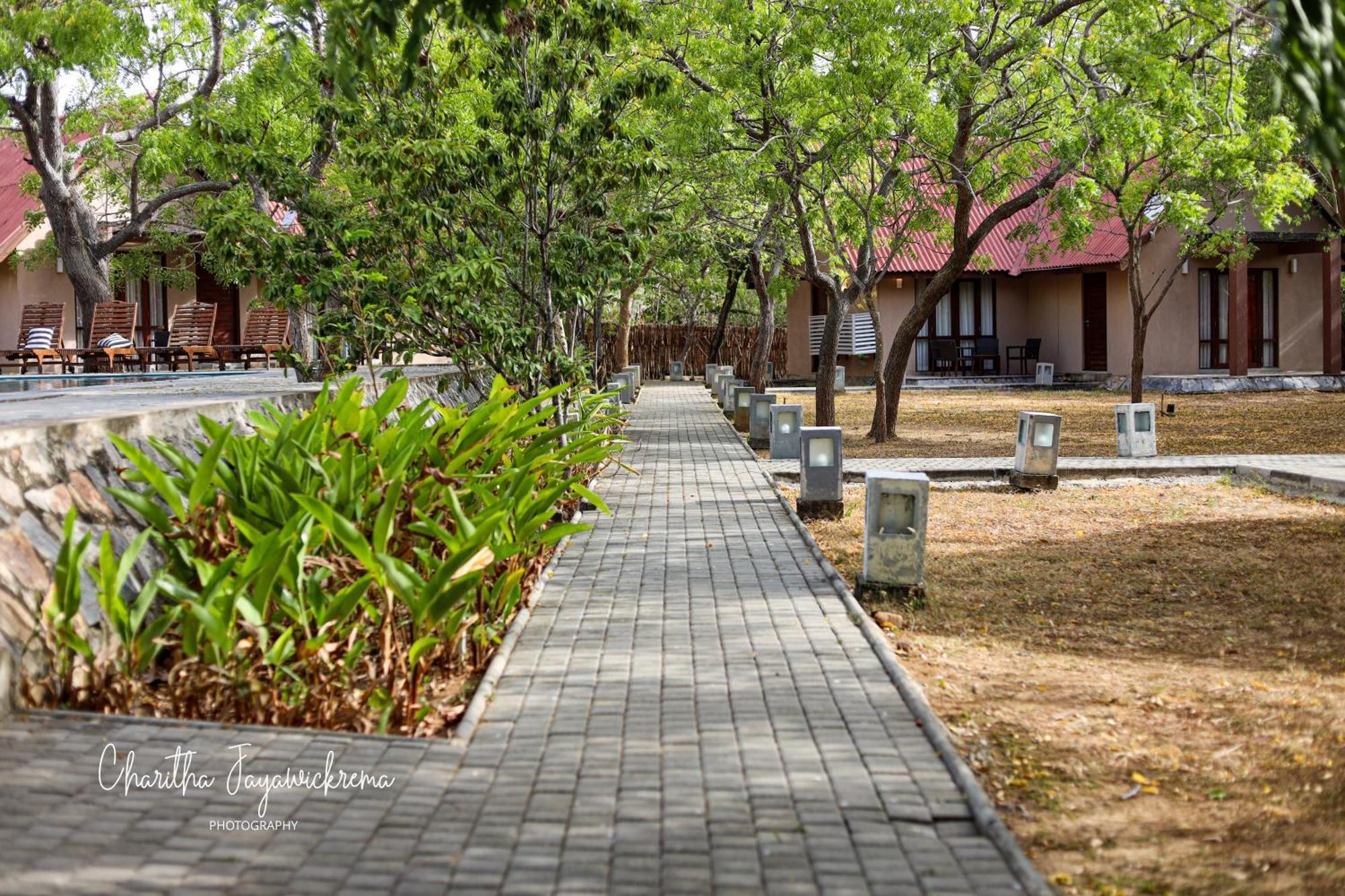 Yala Chalets By Lalan Leisure Kirinda  Exterior photo